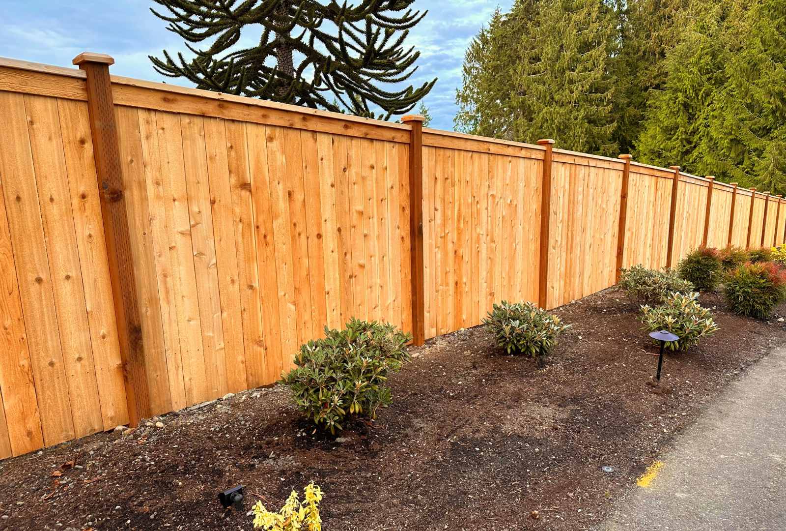 Fencing Services