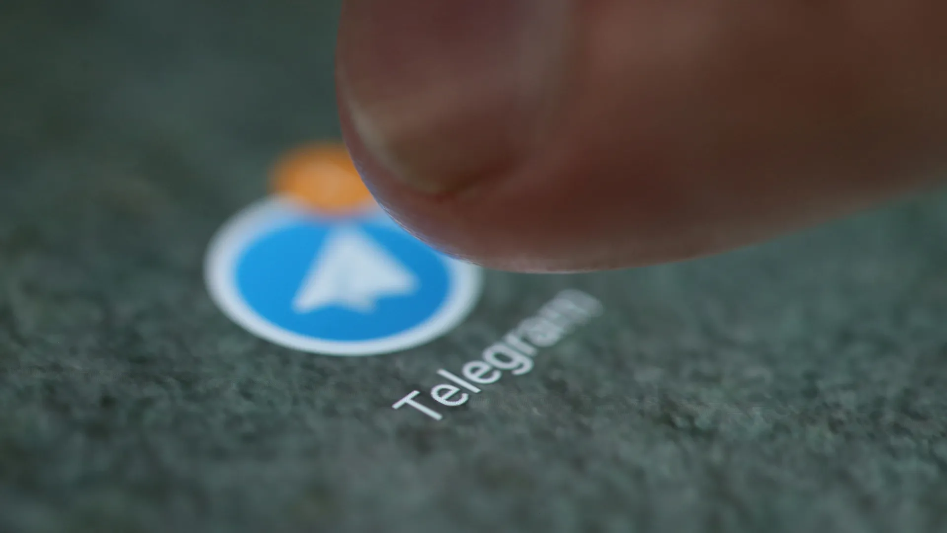 Telegram Accounts